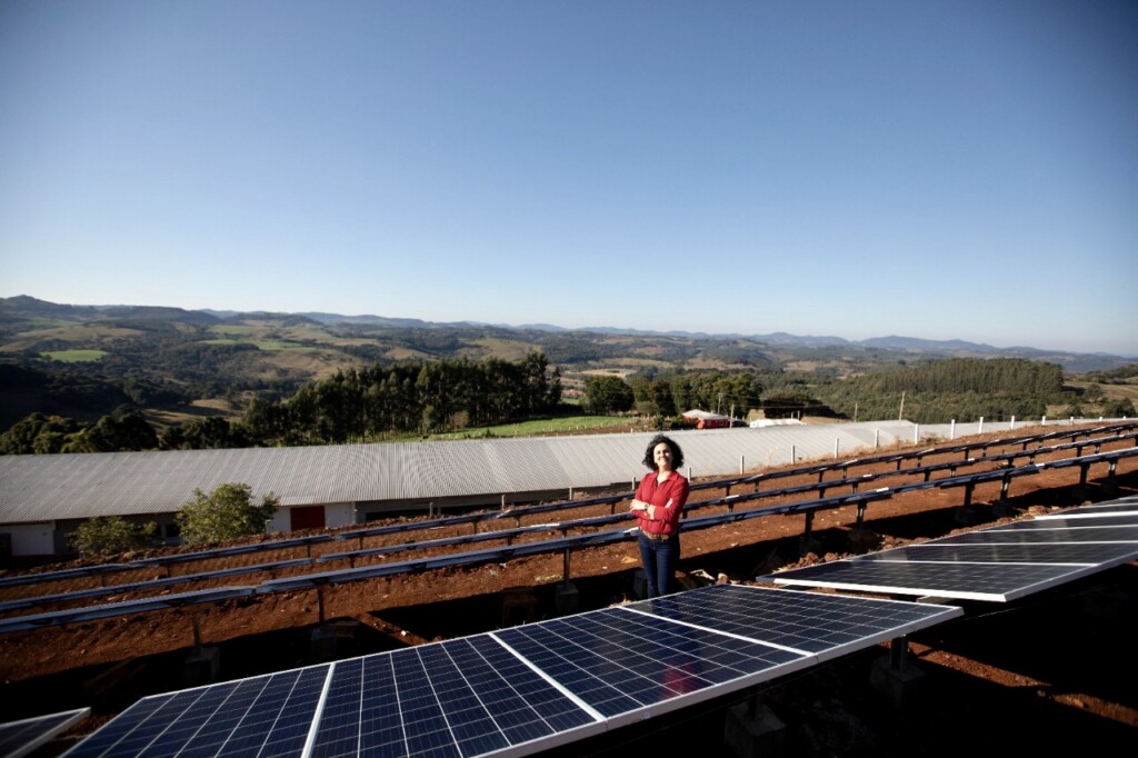 Instalação de painéis solares em granjas de produtores da BRF segue em ritmo acelerado