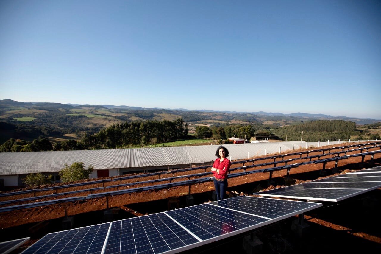 Instalação de painéis solares em granjas de produtores da BRF segue em ritmo acelerado