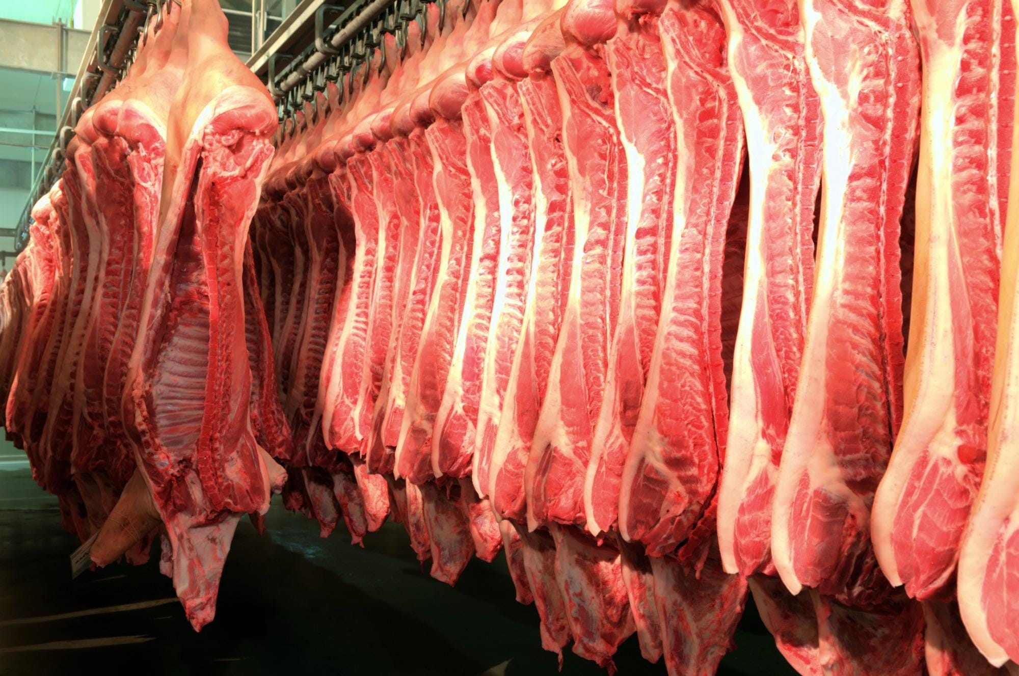 Embarques de carne suína seguem firmes, mas preço interno cai
