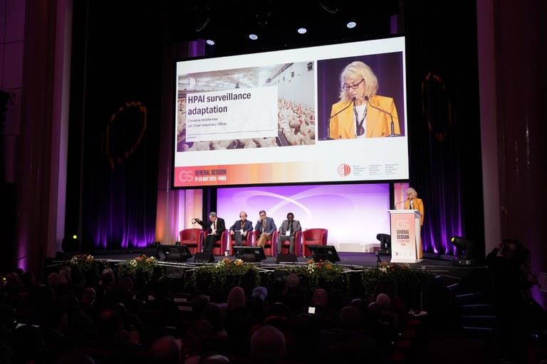 MAPA se opõe à vacinação como medida preventiva contra a gripe aviária