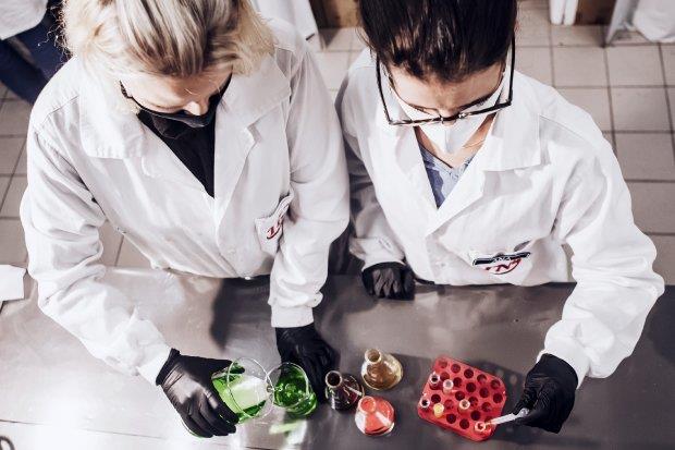 Fapesc apoia projeto que desenvolveu teste rápido para detecção de Salmonella