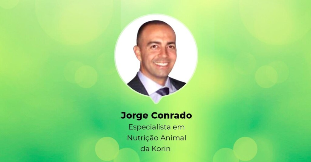 Em webinar, especialista da Korin trará experiência da empresa com o uso de proteínas de inseto na alimentação de aves