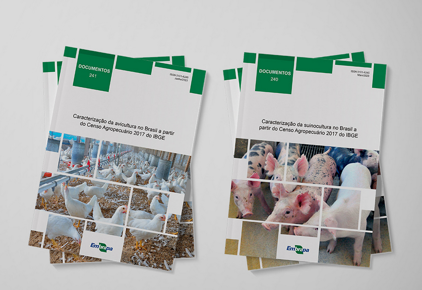 Embrapa Suínos e Aves divulga estudos sobre avicultura e suinocultura no Brasil