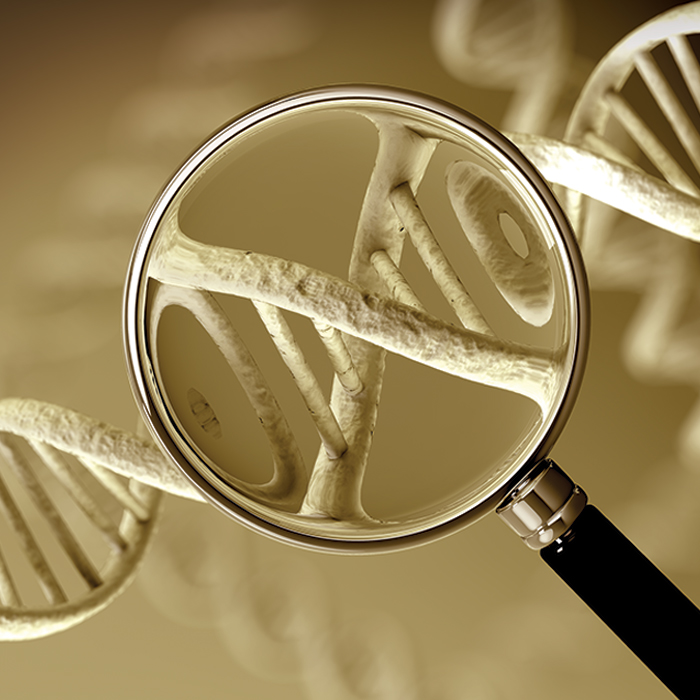 Está no ar a nova edição destacando o uso da biotecnologia na reprodução de suínos