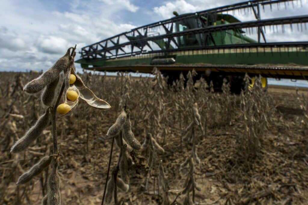 Agricultores do Matopiba mantêm cautela, mas alcançam boa produtividade