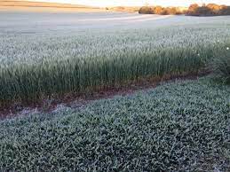 Após ciclone, massa de ar polar faz temperatura cair e traz até possibilidade de neve