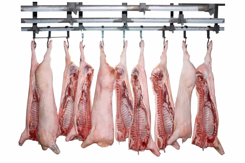 Frigoríficos regionais do MT poderão comercializar carnes para todo o Brasil