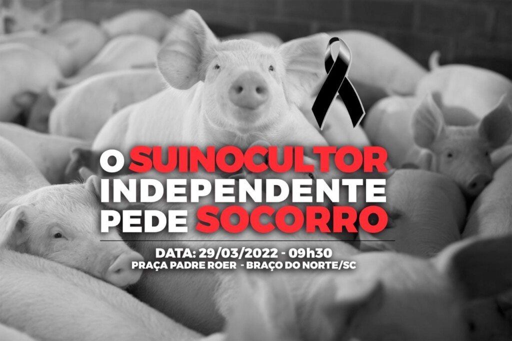À beira da falência, suinocultores convocam mobilização nacional