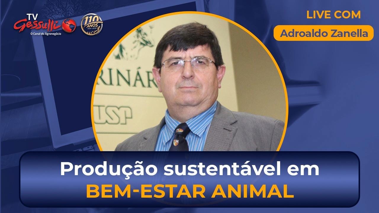 Live hoje sobre produção sustentável e avanços em bem-estar animal