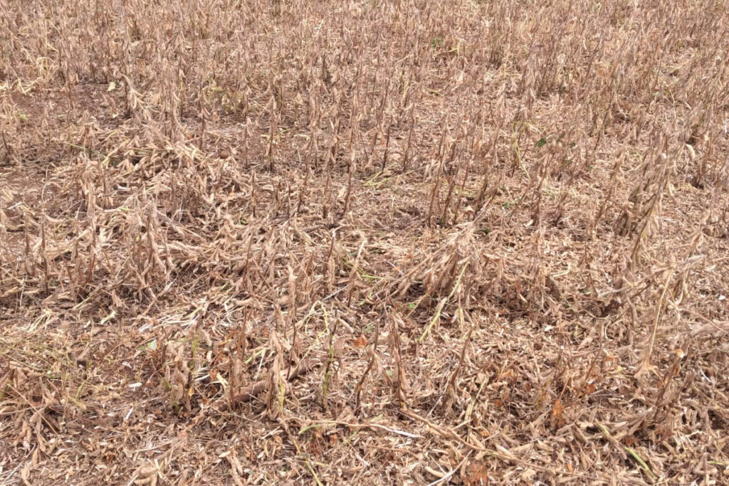 Projeto de lei propõe novos recursos para municípios paranaenses atingidos pela estiagem dos últimos anos