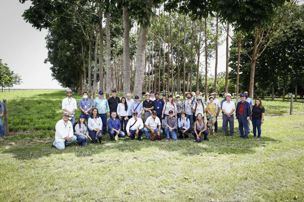 Diplomatas conhecem sistemas produtivos integrados no MT