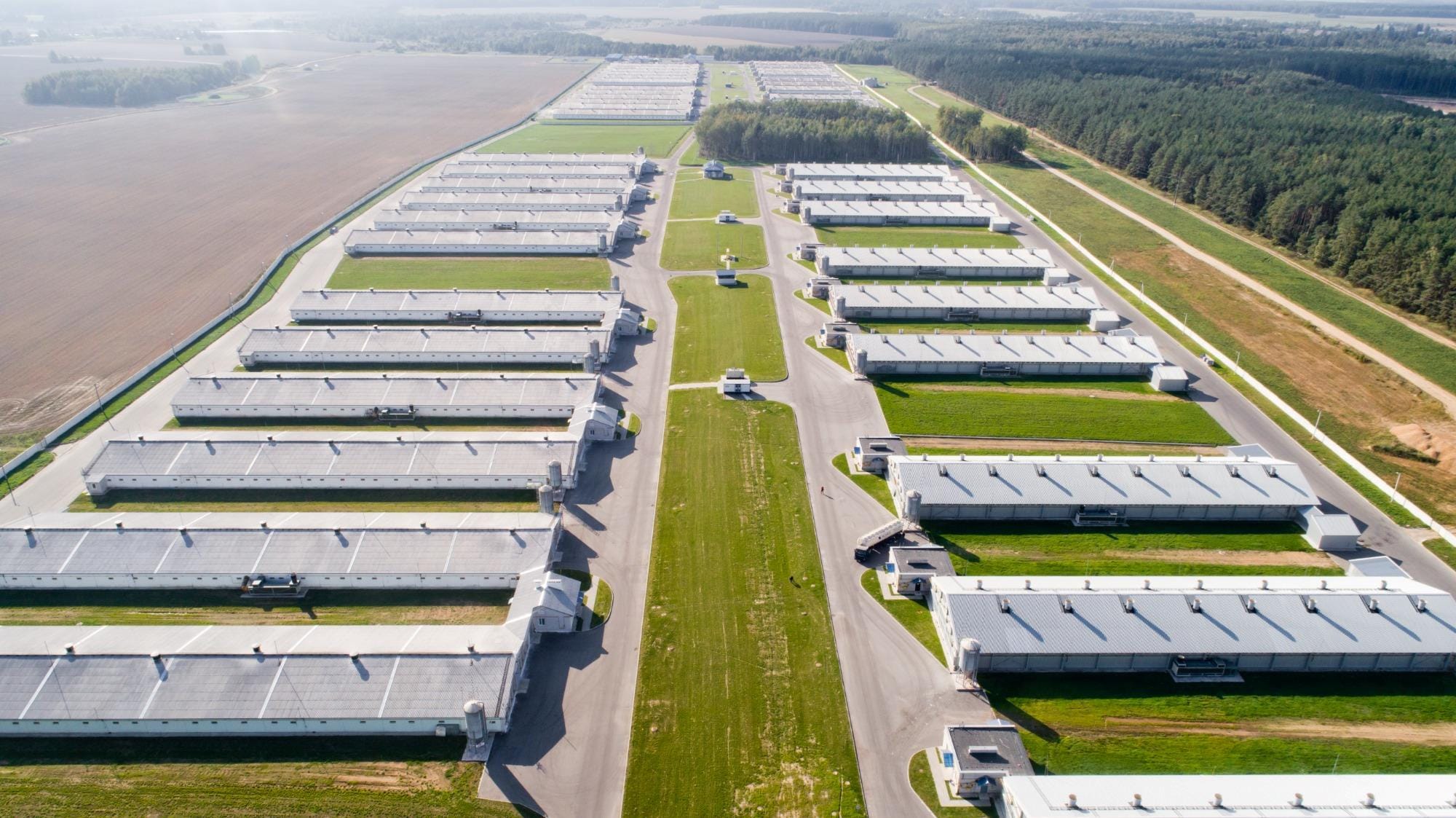 Galpões inteligentes promovem um sistema mais eficiente e econômico de produção