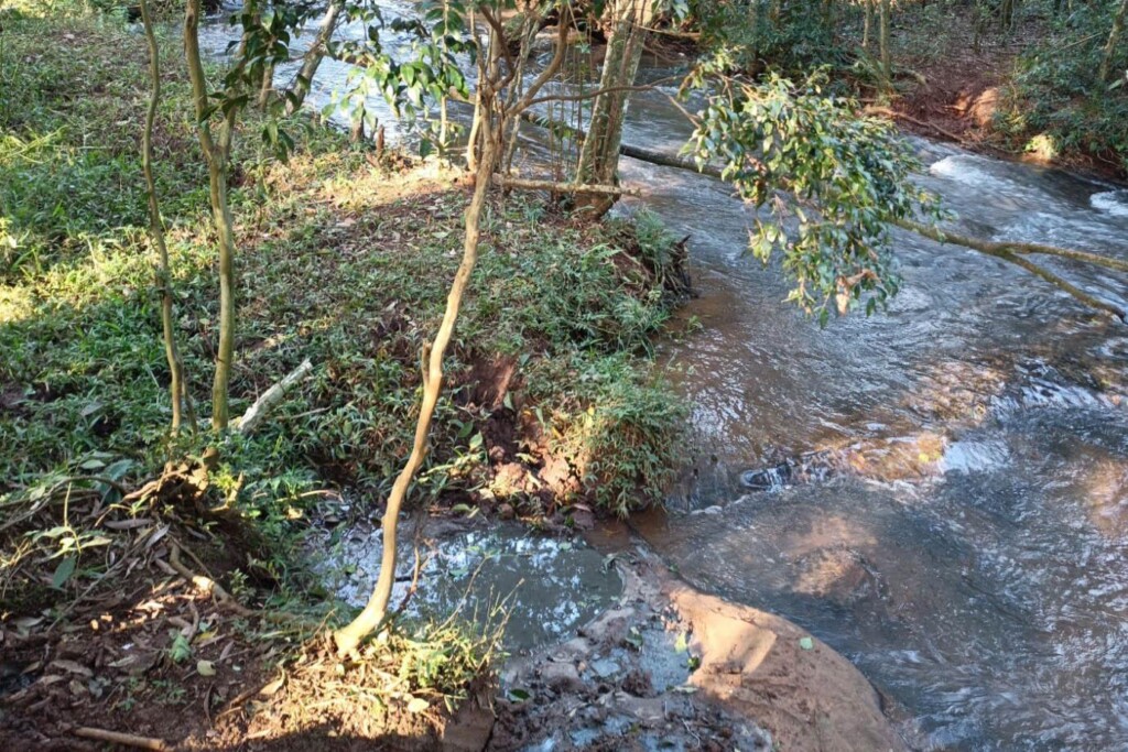 Instituto Água e Terra fiscaliza lançamento de dejetos da suinocultura