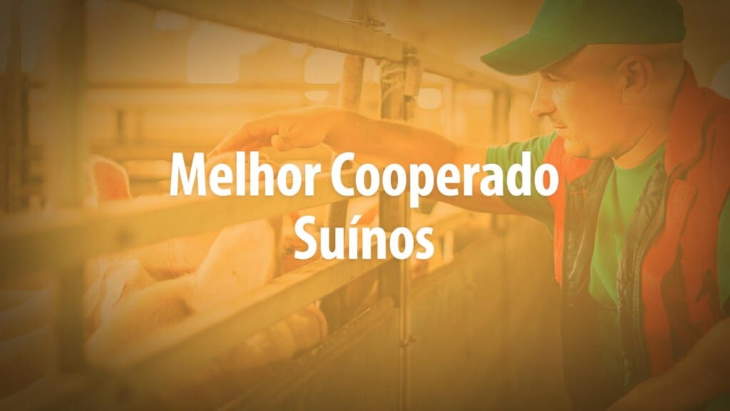 “Quem é Quem”: conheça os finalistas da Categoria Melhor Cooperado Suinocultura