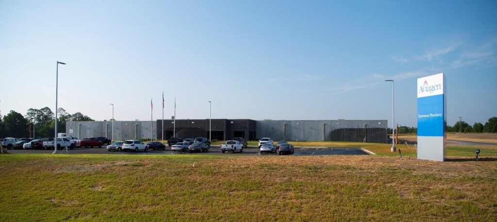 Aviagen inaugura seu 9º incubatório nos EUA