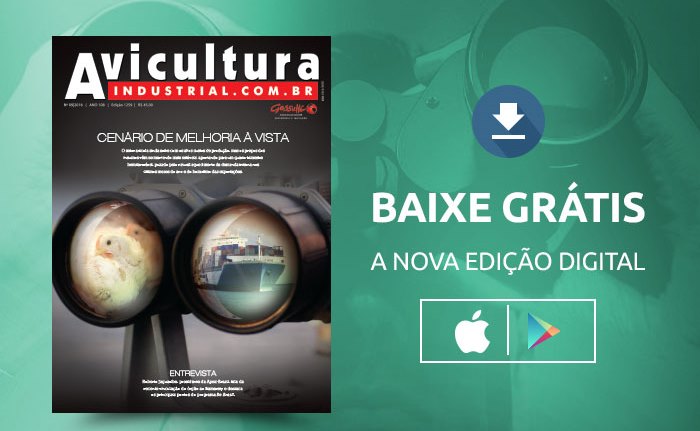 Último trimestre de melhora das condições para a avicultura