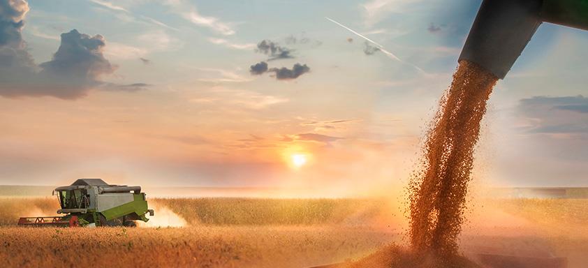 Plano Safra tem R$5,1 bi adicionais para agronegócio e agricultura familiar