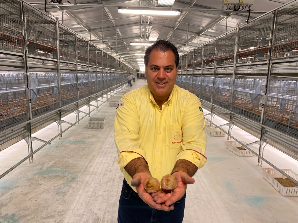 Fazenda 4.0 do Grupo Mantiqueira recebe as primeiras 55 mil pintainhas para o sistema cage-free