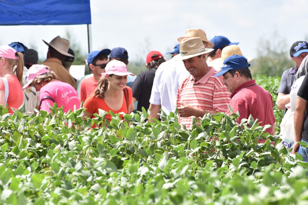 C.Vale espera três mil produtores em Cruz Alta