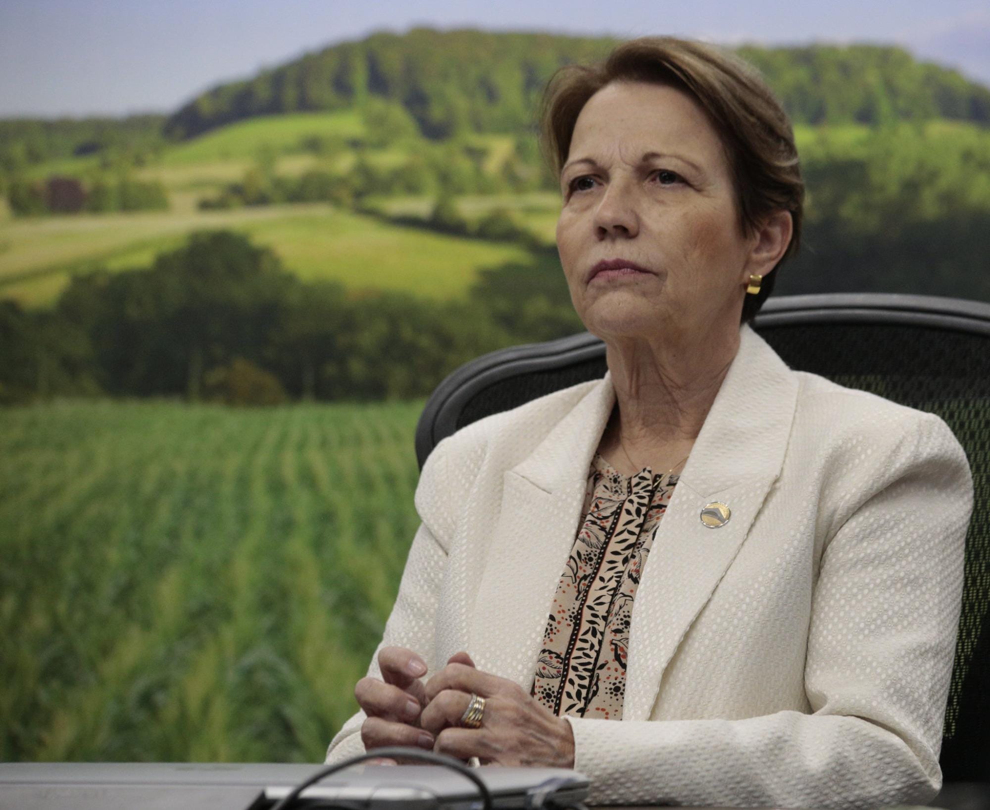 Governo usará COP26 para melhorar imagem da agropecuária brasileira Governo usará COP26 para melhorar imagem da agropecuária brasileira