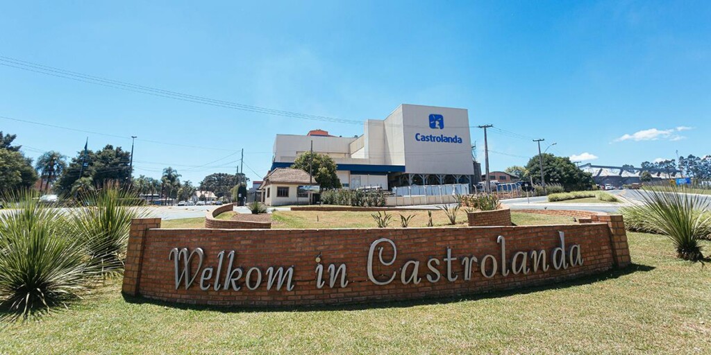 Castrolanda bate recorde de faturamento e fecha primeiro semestre com R$ 2,6 bi