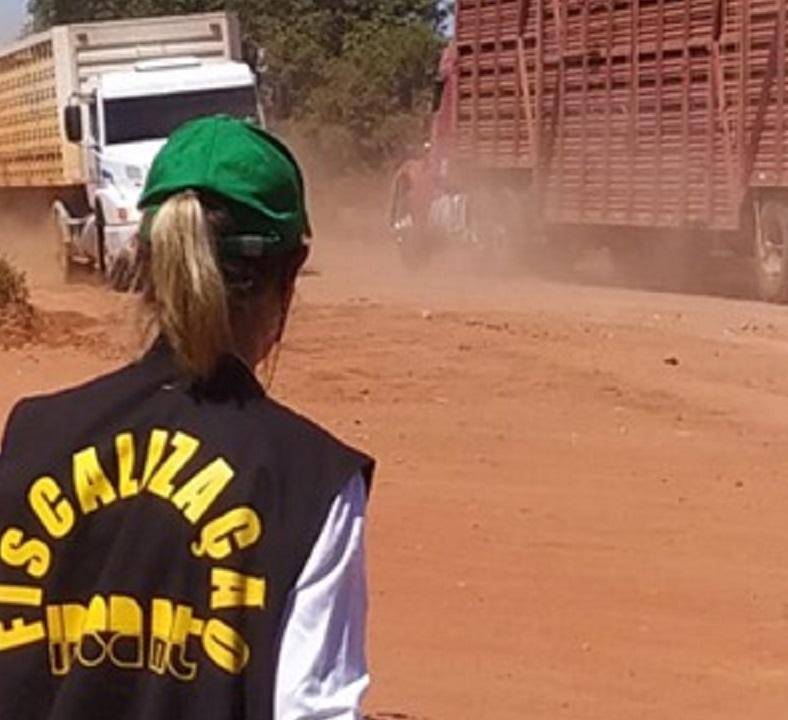 Indea-MT orienta sobre importância da emissão da guia de transporte animal