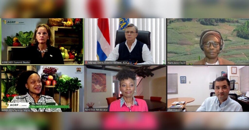 América e África: continentes fundamentais para garantir a segurança alimentar e a sustentabilidade ambiental do planeta