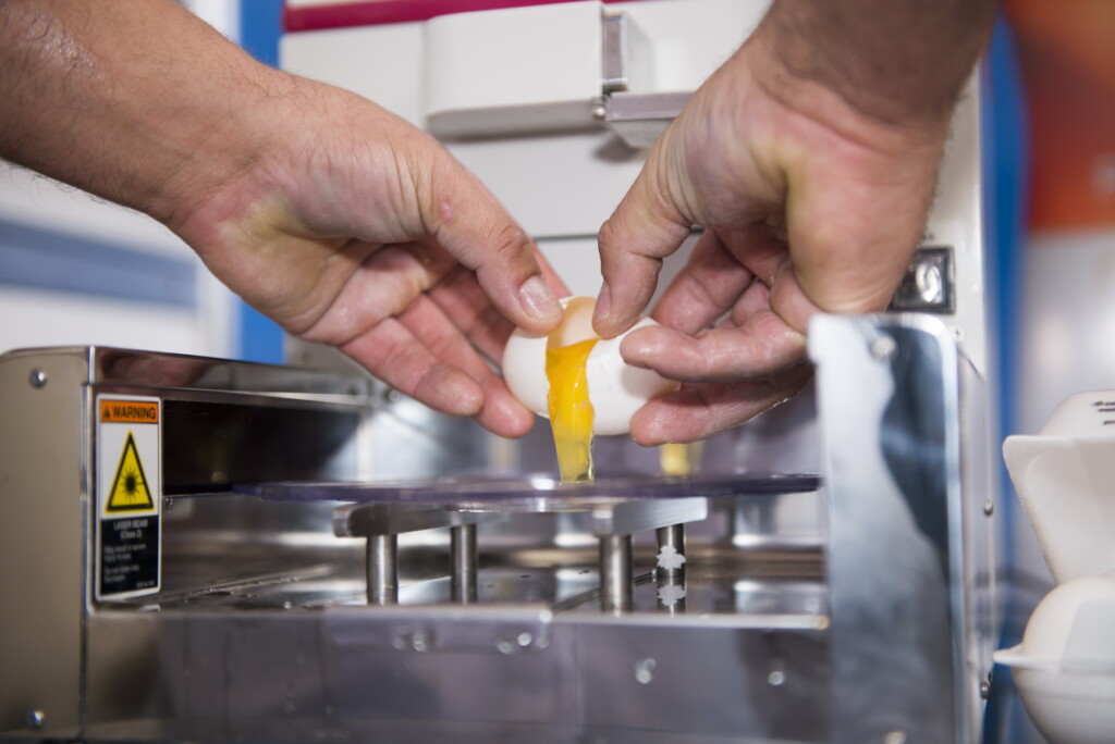 Cooperativa capixaba lança o II Concurso de Qualidade de Ovos