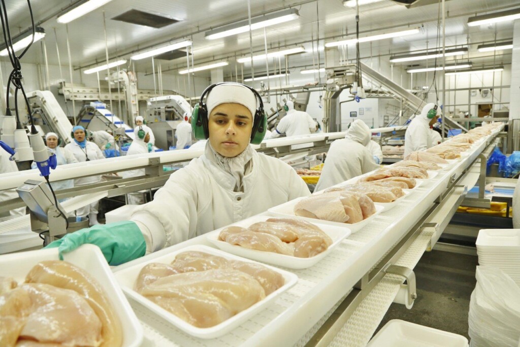 Copacol inicia 2019 com aumento no número de abates