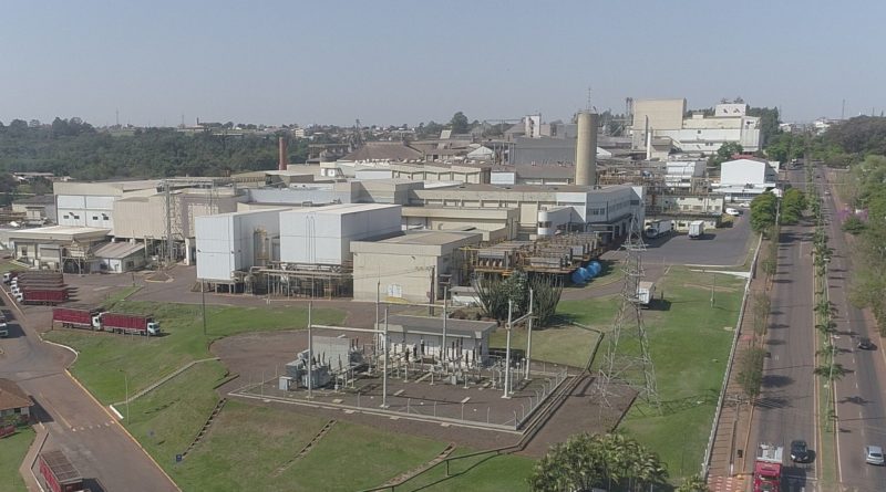 BRF produz carne suína com genética própria