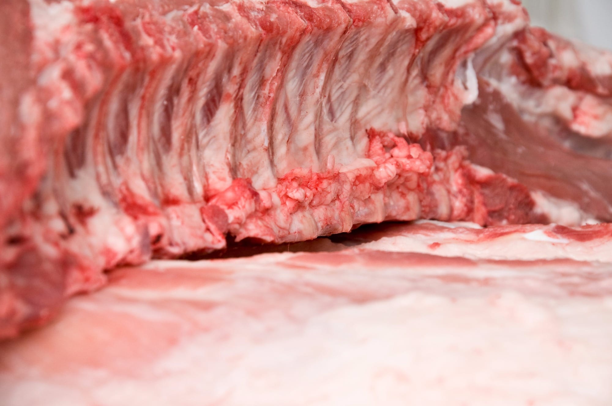 Rússia: de compradora de carne suína a exportadora mundial Rússia: de compradora de carne suína a exportadora mundial