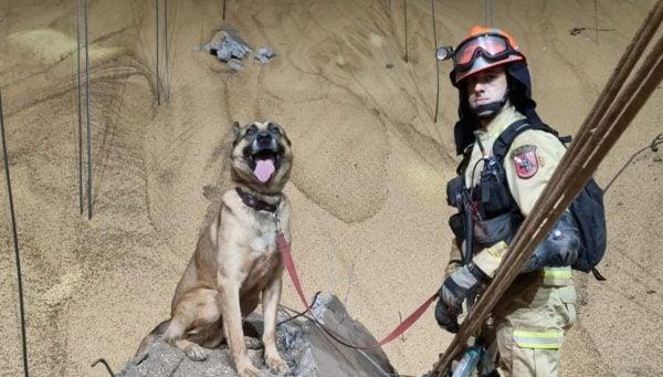 C.Vale mantém busca por desaparecido e sete seguem internados após explosão em silos