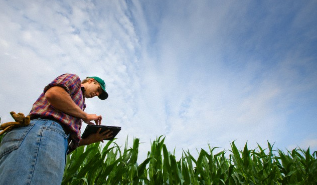 Empresas de tecnologia crescem 18% no Brasil e agro tem atraído investidores