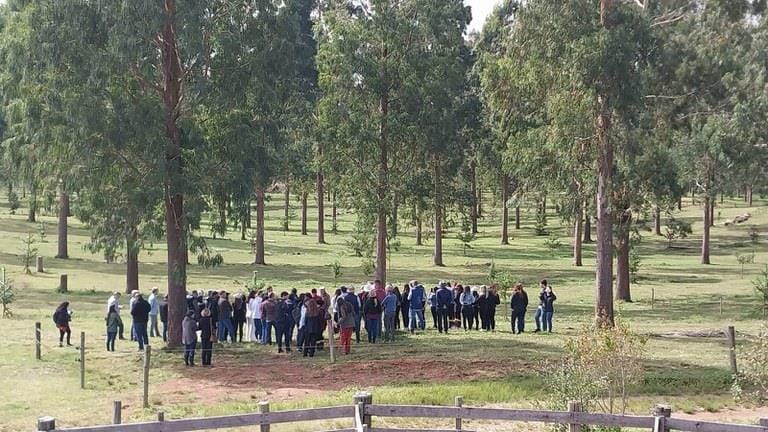 Paraná apresenta Plano de Ação Estadual de baixa emissão de carbono na agropecuária