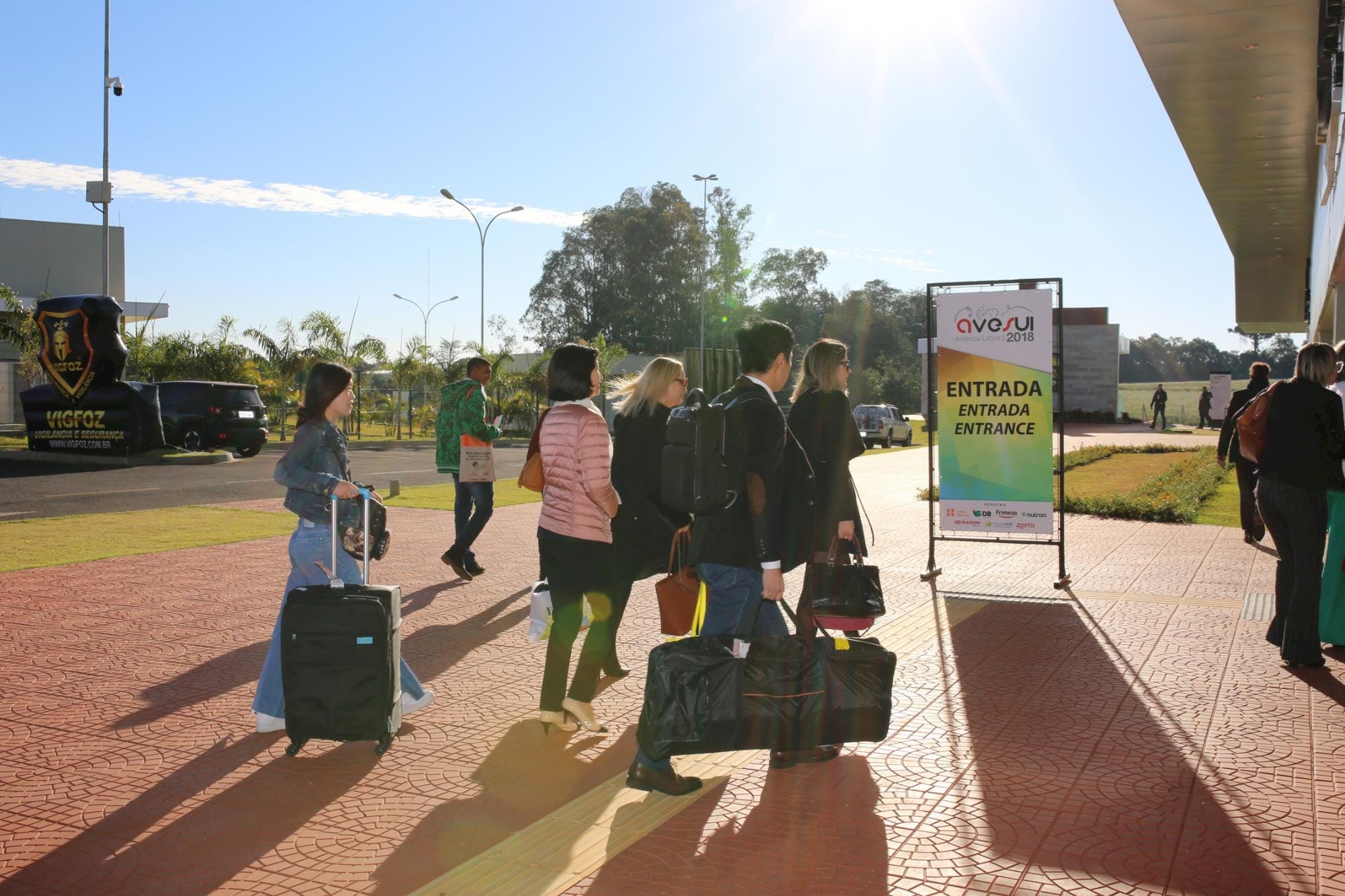 Falta inteligência de mercado para a indústria de carnes brasileira, afirmam especialistas Falta inteligência de mercado para a indústria de carnes brasileira, afirmam especialistas