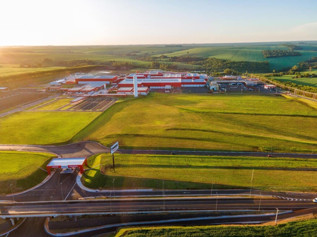 Abate de suínos na unidade da Frimesa em Assis Chateaubriand se inicia