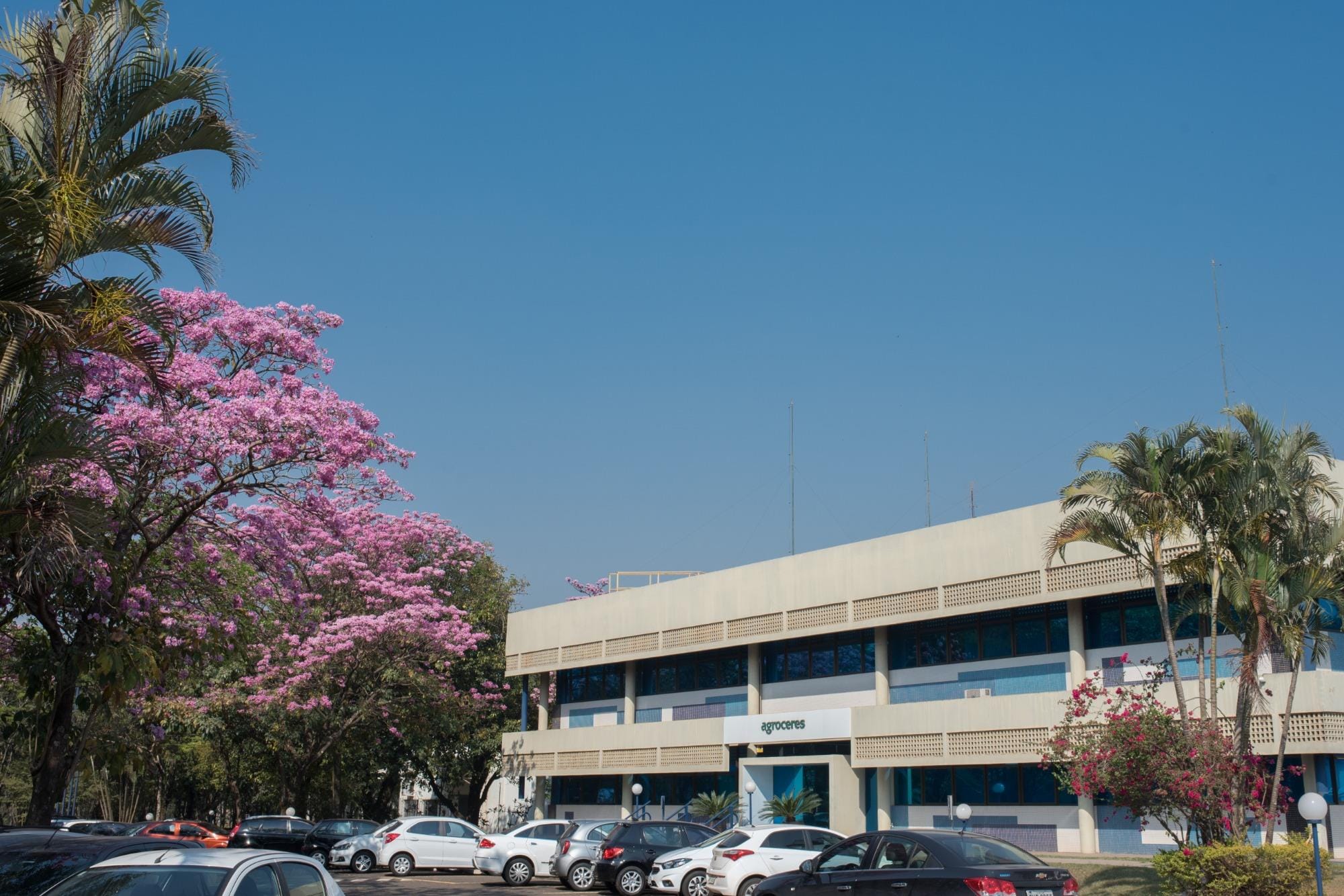 Agroceres PIC investe R$ 100 milhões em duas novas unidades de produção e disseminação genética