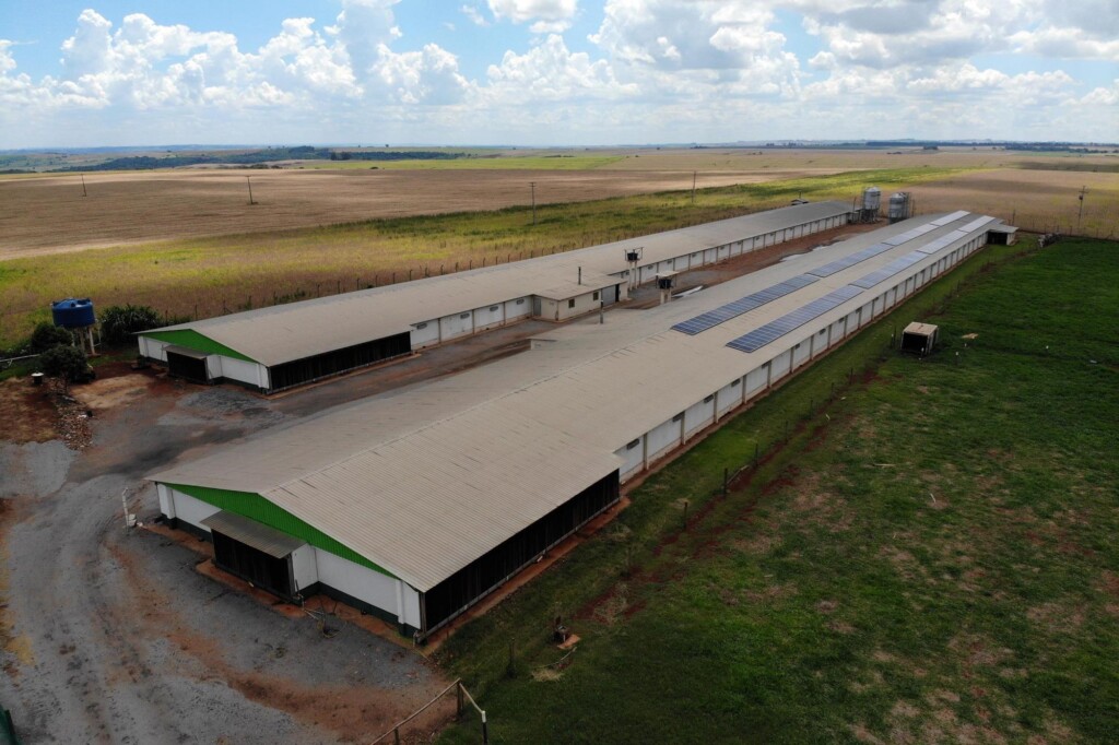 Paraná libera R$ 250 milhões em créditos de ICMS para expansão de energias renováveis