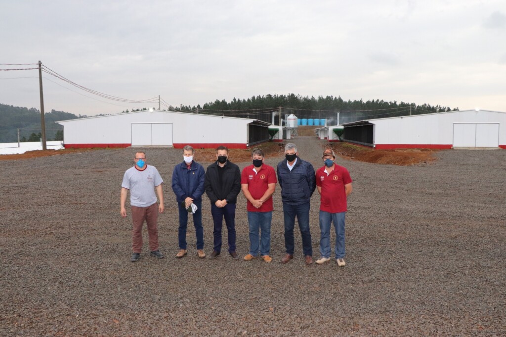 Condomínio Avícola São Luis aloja primeiro lote