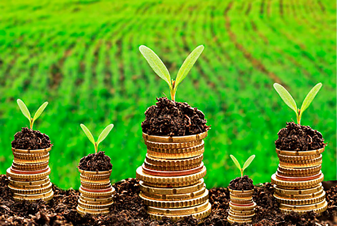 Ipea reduz previsão de PIB agropecuário do Brasil em 2021