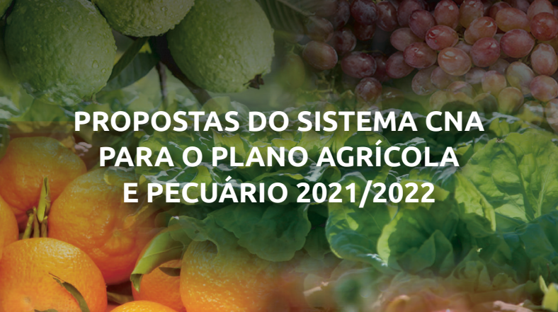 Propostas para o plano agrícola e pecuário 2021/2022 são entregues à Ministra