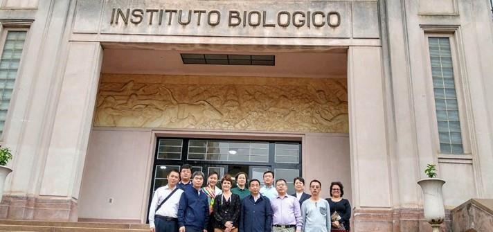 Delegação chinesa conhece infraestrutura e serviços de instituto de pesquisa da Secretaria de Agricultura