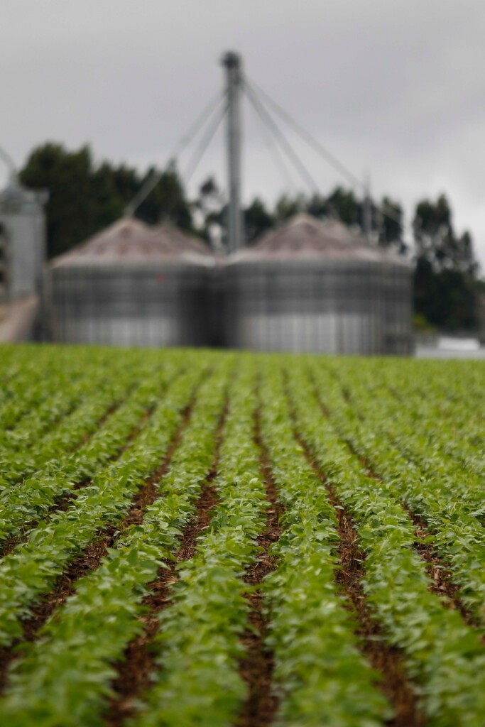 Brasil importa 41,7 milhões de toneladas de fertilizantes e bate recorde em 2025