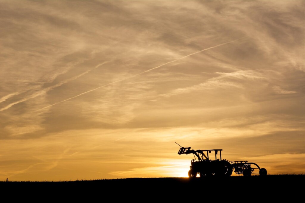 Agropecuária é único setor com crescimento na pandemia, diz IBGE
