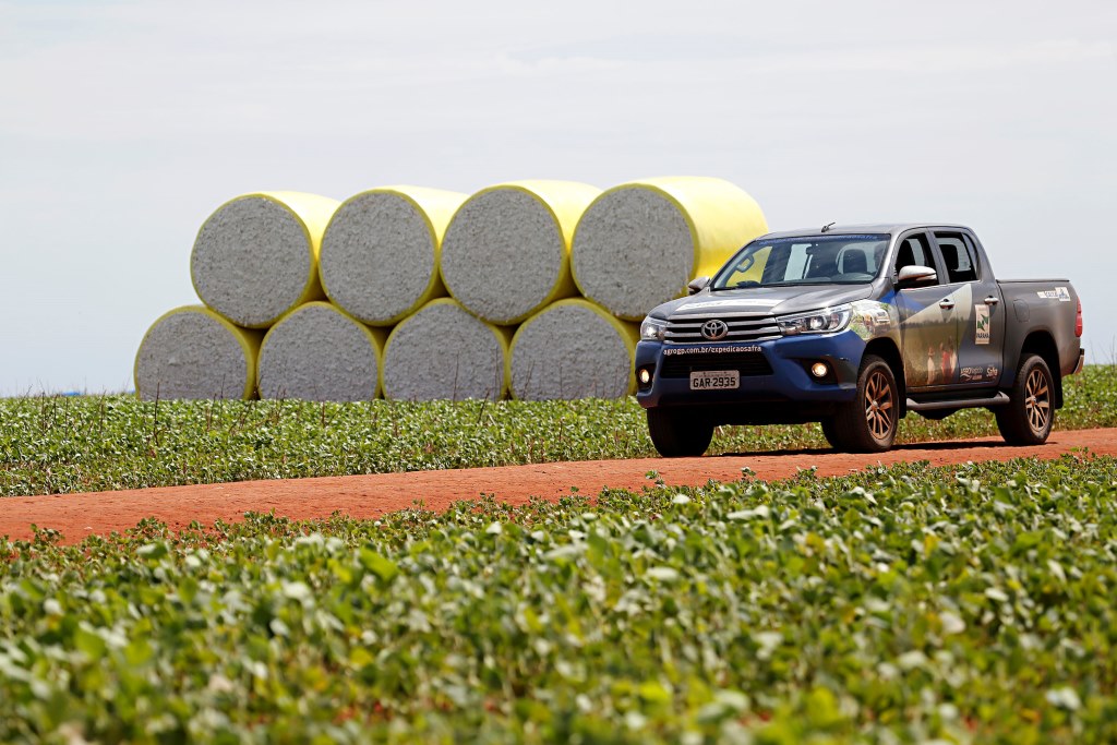 Expedição Safra volta a campo para fazer balanço da colheita de grãos