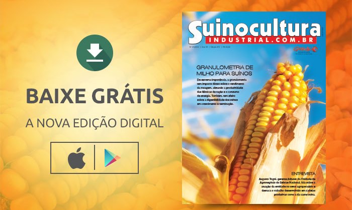 Granulometria do milho para suínos em crescimento e terminação