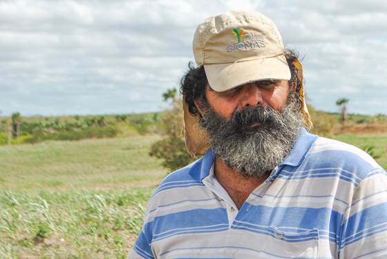 Bioma exclusivamente brasileiro, a caatinga tem valor econômica e biólogico para o país