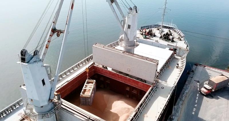 Porto Ponta do Félix embarcará 120 mil toneladas de pellets de madeira até o final de 2022