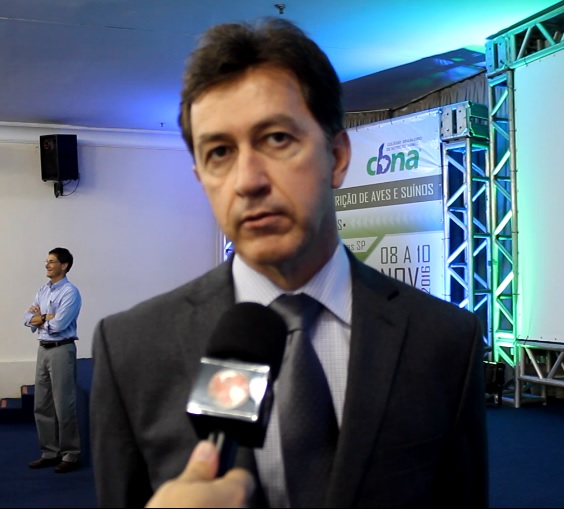 Avaliação de micotoxinas in vitro, in vivo e registro de sequestrantes