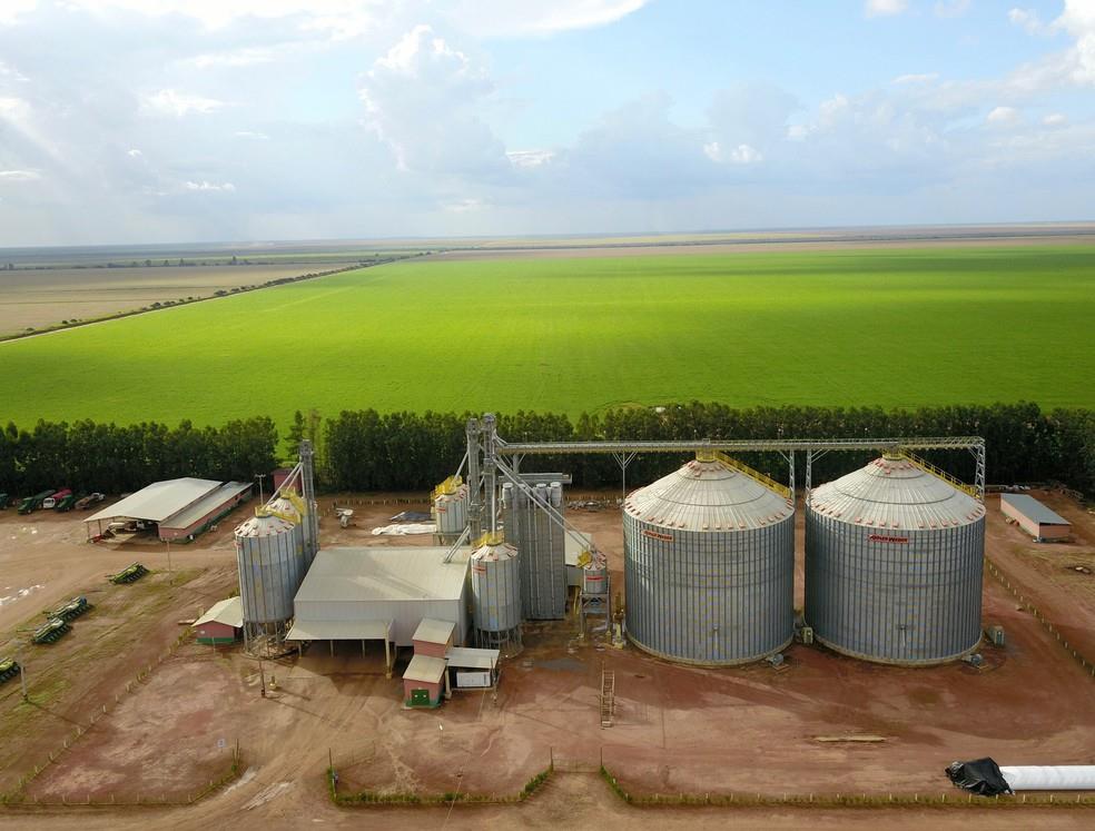 Conab lança aplicativo que auxilia produtores a calcular descontos de armazenagem